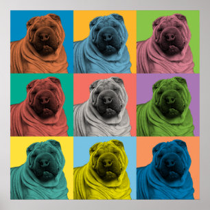 Poster do pop art de Shar-Pei do chinês