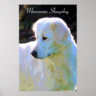Poster do pop art do sheepdog de Maremma