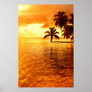 Poster do pôr do sol da palmeira horizontal