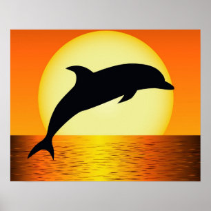 Poster do por do sol do golfinho