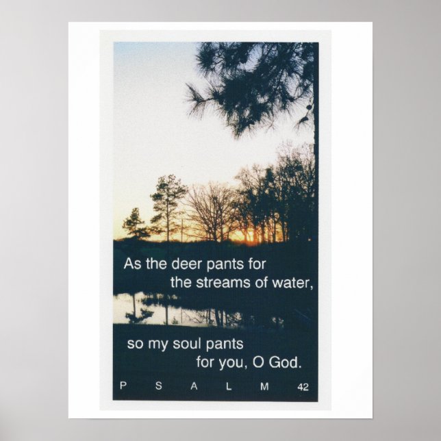 Poster do pôr do sol Psalm 42:1 (Frente)