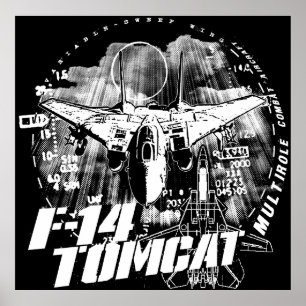 Poster do poster de F-14 Tomcat