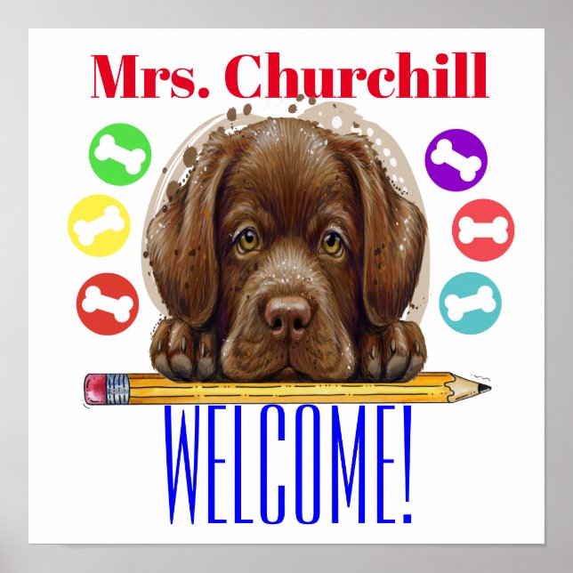 Poster do professor - SRF (Frente)