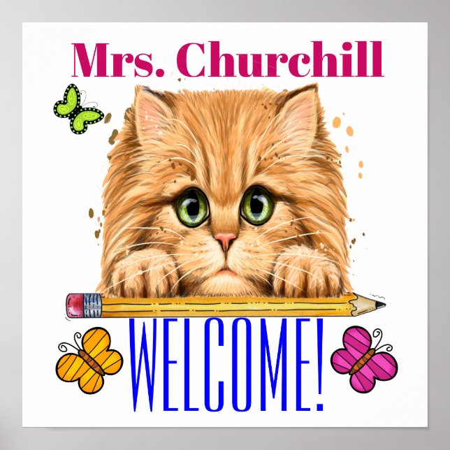 Poster do professor - SRF (Frente)