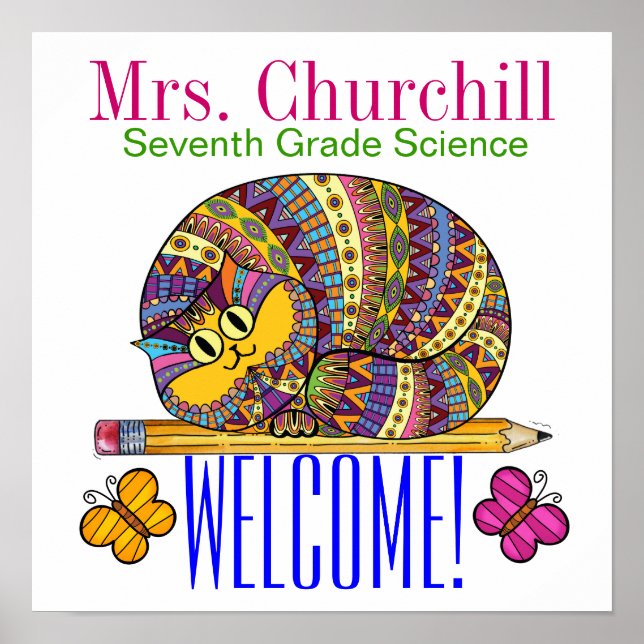 Poster do professor - SRF (Frente)