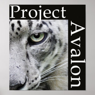 Poster do Projeto Avalon (Escuro)