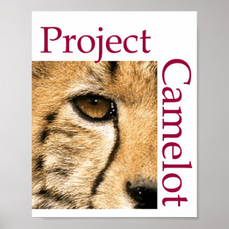 POSTER DO PROJETO CAMELOT