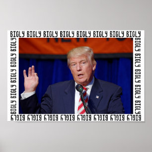 Poster do quadro do presidente Donald Trump