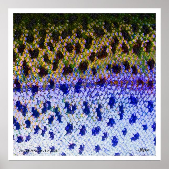 Poster do Rainbow Trout FFF (Frente)