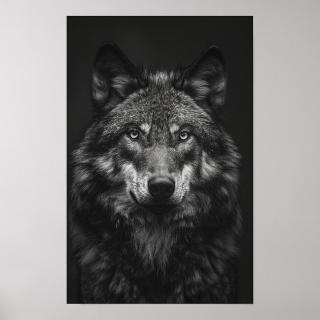 Poster do Retrato do Lobo Negro e Branco Majestoso (Frente)