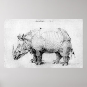 Poster do rinoceronte de Albrecht Durer