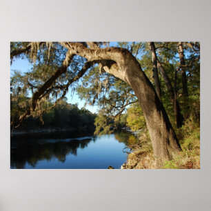 Poster do rio de Suwannee