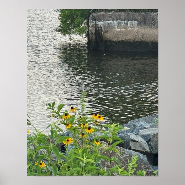 Poster do rio Susans de olhos negros (Frente)