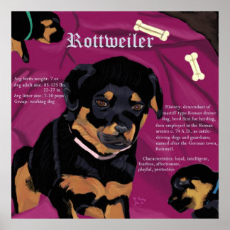 Poster do Rottweiler Pup