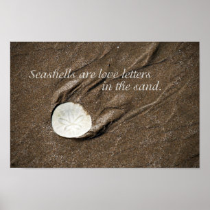 Poster do Seashell