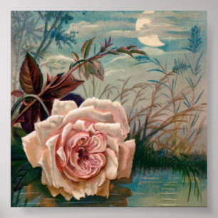 Poster do Serenade do rosa do luar