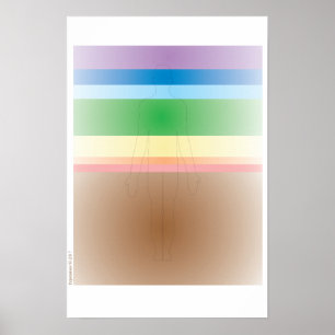 Poster do sistema Chakra