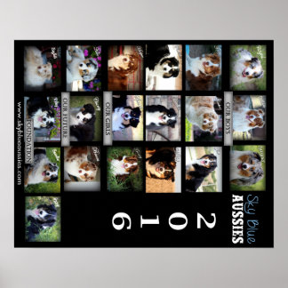 Poster do Sky Blue Aussies 2016