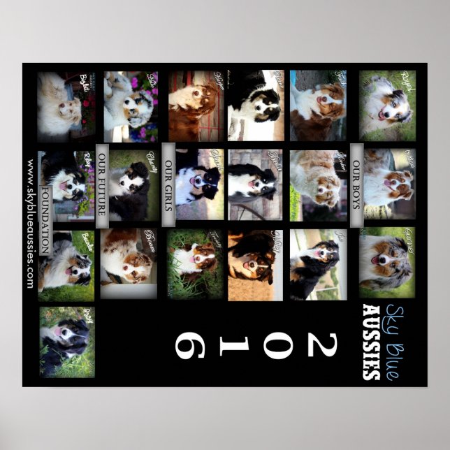 Poster do Sky Blue Aussies 2016 (Frente)