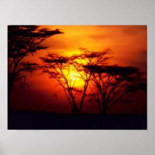 Poster do Sol Africano
