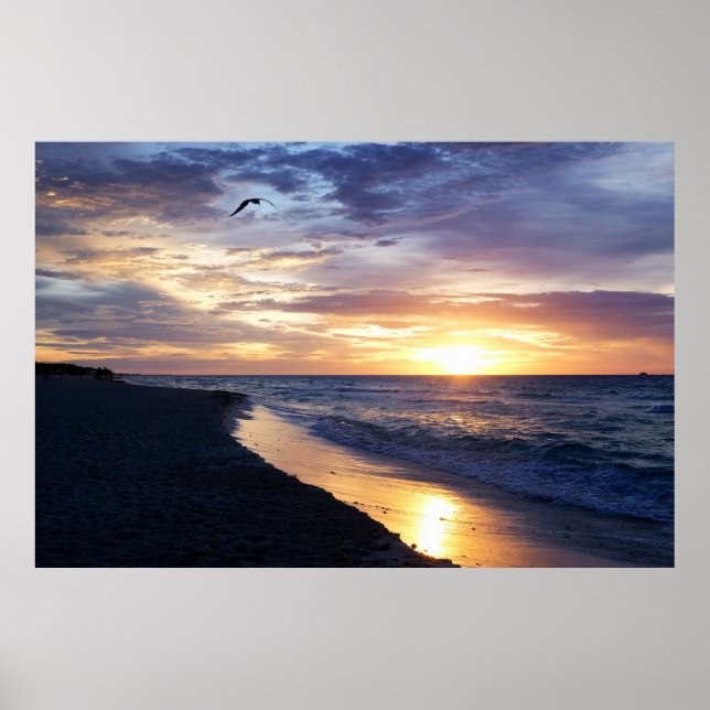 Poster do Sol Mexicano (Frente)