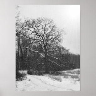 Poster do solstício de inverno