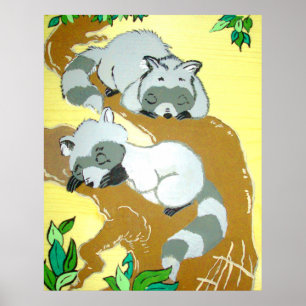 Poster do sono dos guaxinins do bebê