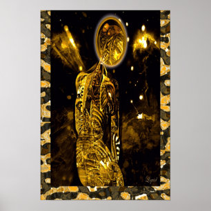 Poster do StarGazer