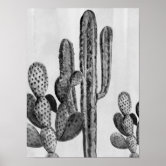 Poster Jardim De Cactus Caquetado Em Pote