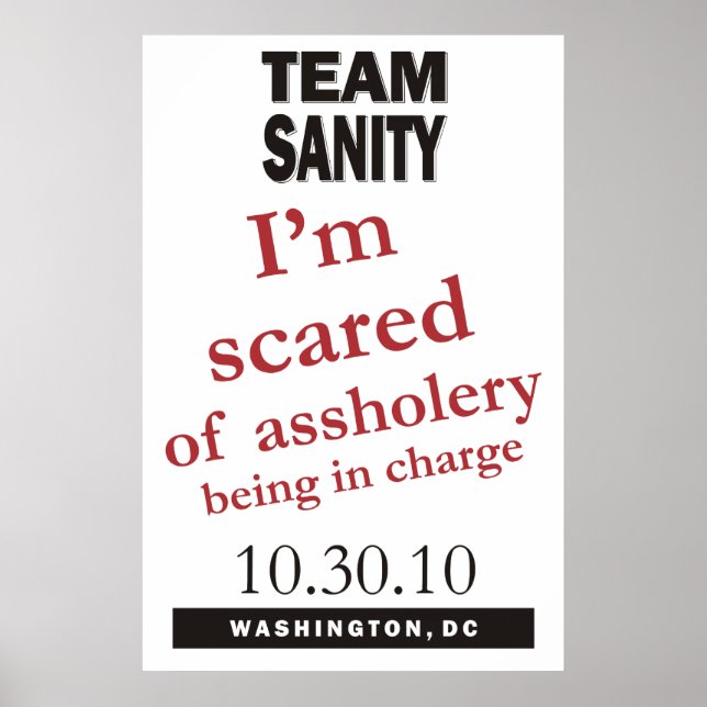 Poster do Team Sanity (Frente)