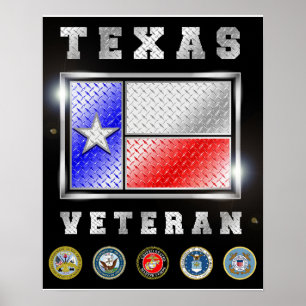 Poster do Texas Veteran