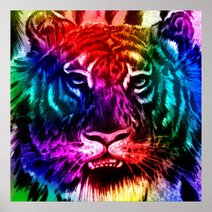 Poster do tigre do arco-íris