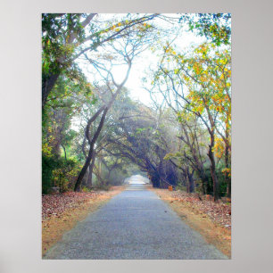 poster do trajeto das naturezas