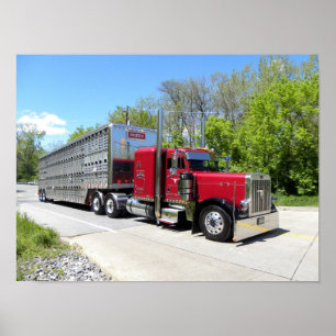 Poster do transporte 379 de Brown