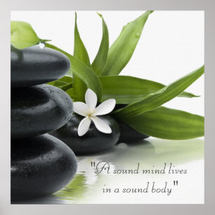 Poster do tratamento dos termas