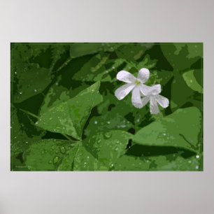 Poster do trevo sem texto -36x24 - ou menor