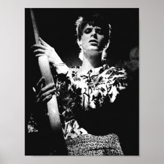 Pôster do Tributo ao Ziggy Stardust de David Bowie