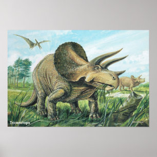 Poster do Triceratops