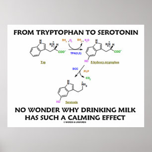 Pôster Do Triptofano À Serotonina (Humor Químico)