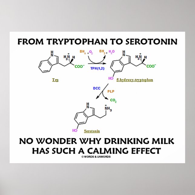 Pôster Do Triptofano À Serotonina (Humor Químico) (Frente)