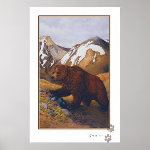 poster do urso marrom