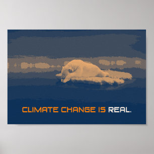 Poster do urso polar das alterações climáticas