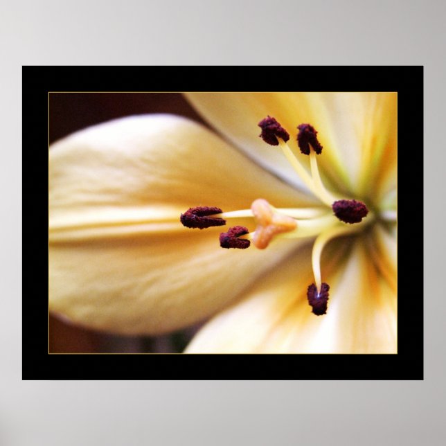 Poster do ventilador do relógio parado (Frente)