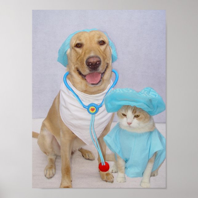 Poster do veterinário (Frente)