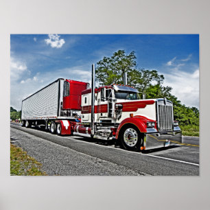 Poster do W900L do junco