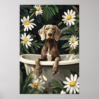 Poster do Weimaraner na Banheira, Poster Divertido