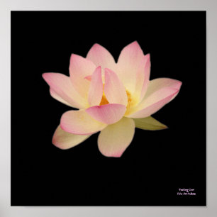 Poster do Zen do sentimento