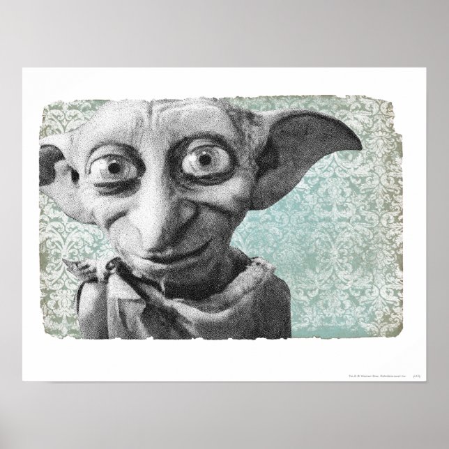 Poster Dobby 4 (Frente)
