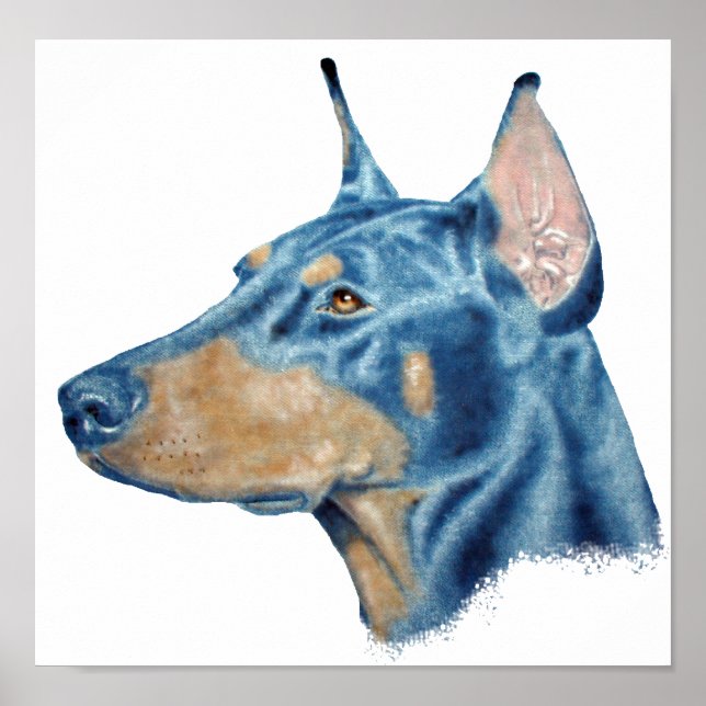 Pôster Doberman (Frente)