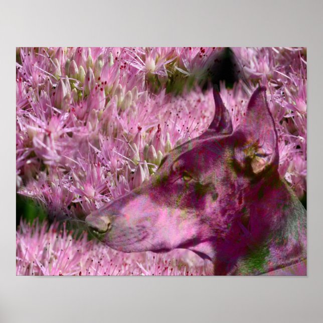 Pôster Doberman E Flores Rosa Fantasia Arte Canina (Frente)